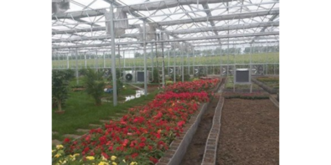 谷城特色農(nóng)業(yè)信息咨詢服務 賦能鄉(xiāng)村振興，創(chuàng)造產(chǎn)業(yè)輝煌