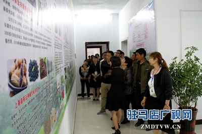 駐馬店市首個國家級'星創(chuàng)天地'在上蔡縣揭牌，助力農(nóng)業(yè)信息咨詢與創(chuàng)新發(fā)展