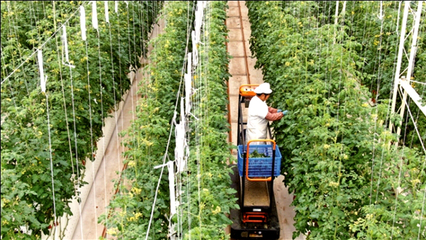 江蘇南通 龍?bào)J虎步，家庭農(nóng)場(chǎng)踏春來(lái)