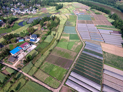 深耕縣域金融沃土 以農(nóng)業(yè)信息咨詢(xún)?yōu)橹c(diǎn)撬動(dòng)鄉(xiāng)村振興